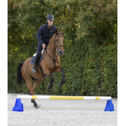 Bloco de obstáculo Cavaletti Waldhausen Azul