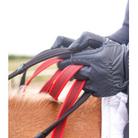 Bricole Waldhausen rédeas de segurança Secutrust Preto