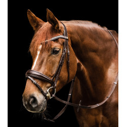 Bridon Waldhausen S-Line Essential Castanho Bridon Waldhausen S-Line Essential Castanho