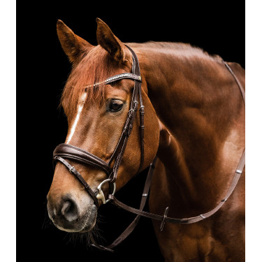 Bridon Waldhausen S-Line Essential Castanho Bridon Waldhausen S-Line Essential Castanho