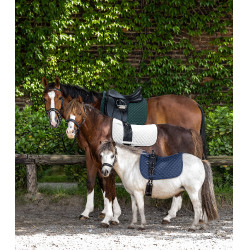 Almofada de sela Waldhausen Felix Verde pinho