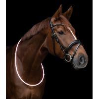 Colar de pescoço LED Waldhausen Branco