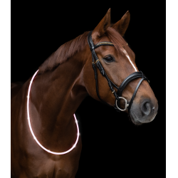 Colar de pescoço LED Waldhausen Branco