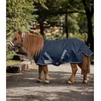 Capa de Chuva Waldhausen...
