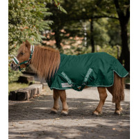 Capa de Chuva Waldhausen Shetland 100g Comfort Verde pinho