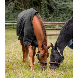 Capa de exterior Waldhausen Nordic 50 g Preto