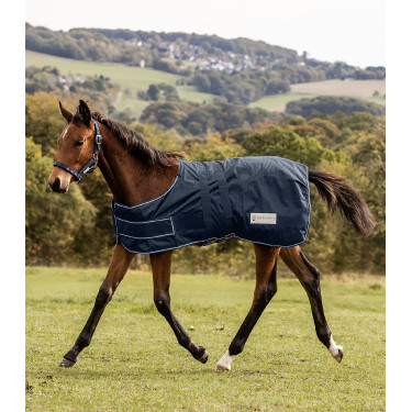 Capa de chuva Waldhausen Comfort para potro Capa de chuva Waldhausen Comfort para potro