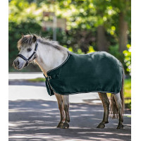 Cobertor polar Waldhausen Economic Verde pinho