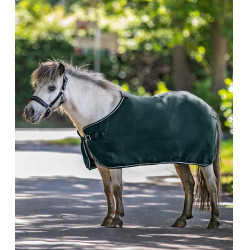 Cobertor polar Waldhausen Economic Verde pinho Cobertor polar Waldhausen Economic Verde pinho