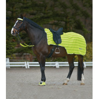 Cobre-rins Waldhausen Reflex Neon amarelo