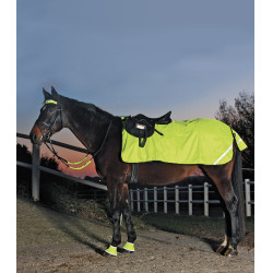 Cobre-rins Waldhausen Reflex polar