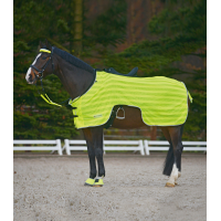 Cobre-rins de equitação Waldhausen Reflex Neon amarelo