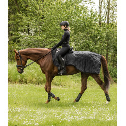 Cobre-rins Waldhausen Exclusive 50 g Preto Cobre-rins Waldhausen Exclusive 50 g Preto