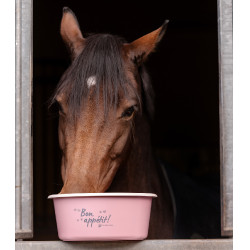 Comedouro com tampa Waldhausen Linnea rosa