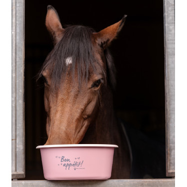 Comedouro com tampa Waldhausen Linnea rosa