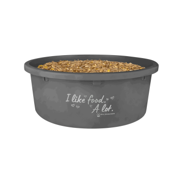 Comedouro XL com tampa Waldhausen Cinzento