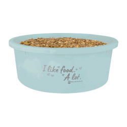 Comedouro XL com tampa Waldhausen Turquesa Azul