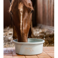 Comedouro XL com tampa Waldhausen Cinzento