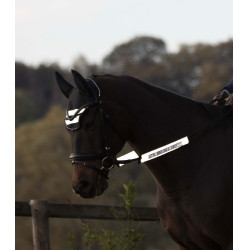 Conjunto refletor Waldhausen para cabeçadas Reflex Cinza prateado Cinzento