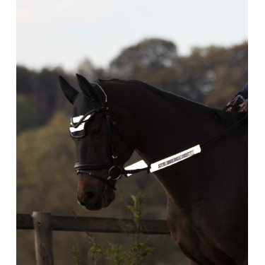 Conjunto refletor Waldhausen para cabeçadas Reflex Cinza prateado Cinzento