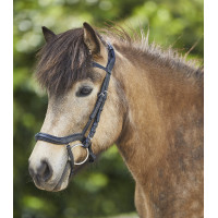 Filete Waldhausen Island anatômico Preto / prata Filete Waldhausen Island anatômico Preto / prata