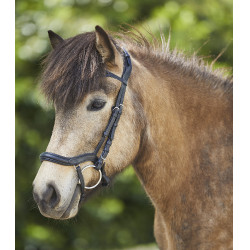 Filete Waldhausen Island anatômico Preto / prata