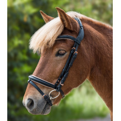 Filete Waldhausen Island Rose Preto / dourado rosé