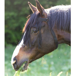 Frontal antimoscas autônomo Waldhausen Preto Frontal antimoscas autônomo Waldhausen Preto