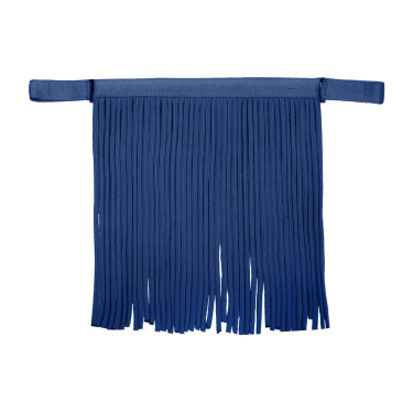 Frontal caça-moscas Waldhausen Salon Azul