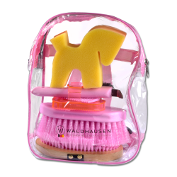 Kit de limpeza Grooming Waldhausen