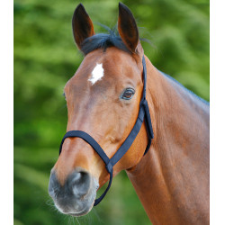 Cabresto de pasto Waldhausen Azul noturno