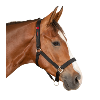 Cabresto de segurança Waldhausen Preto