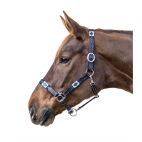 Caveção de couro Waldhausen Polo Preto Caveção de couro Waldhausen Polo Preto