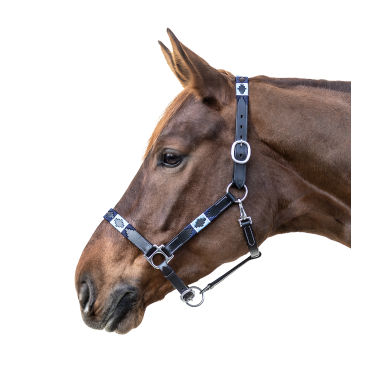 Caveção de couro Waldhausen Polo Preto