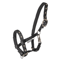 Cabresto Potro Waldhausen Conforto Preto