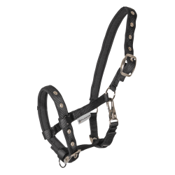 Cabresto Potro Waldhausen Conforto