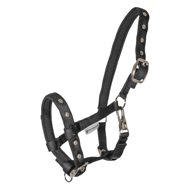 Cabresto Potro Waldhausen Conforto