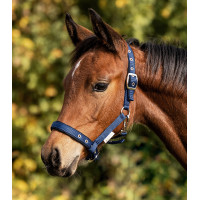 Cabresto Potro Waldhausen Conforto Azul escuro