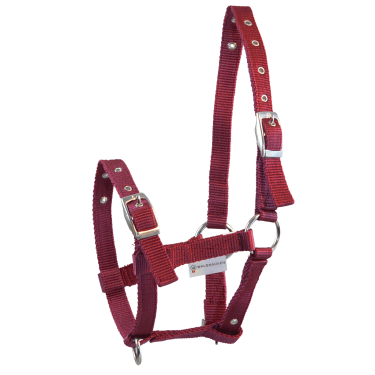 Cabeção para Poldro Waldhausen Triple Bordéus Bord&amp;amp;amp;ocirc;