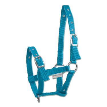 Cabeção para Poldro Waldhausen Triple Azul celeste