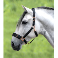 Licol pour longé Waldhausen Rosé Preto Licol pour longé Waldhausen Rosé Preto