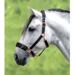 Licol pour longé Waldhausen Rosé Preto