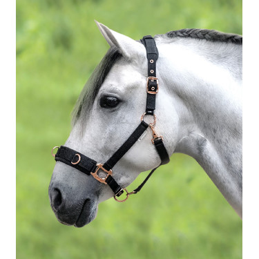 Licol pour longé Waldhausen Rosé Preto