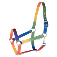 Cabresto Waldhausen Arco-íris Néon multicolor