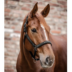 Caveção Waldhausen Athletic Preto