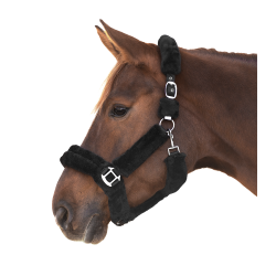 Cabeçada Waldhausen Cozy Preto / prata