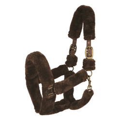 Cabeçada Waldhausen Cozy Castanho / dourado