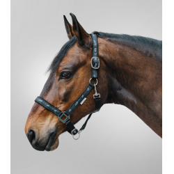 Caveção Waldhausen déco Cavalinhos Preto