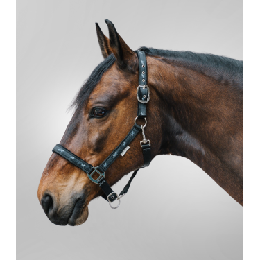 Caveção Waldhausen déco Cavalinhos Preto