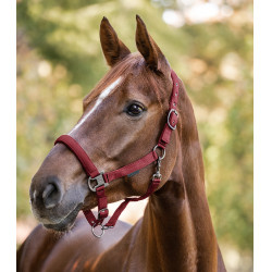 Caveção Waldhausen Gloomy Bordéus Bord&amp;amp;amp;ocirc;